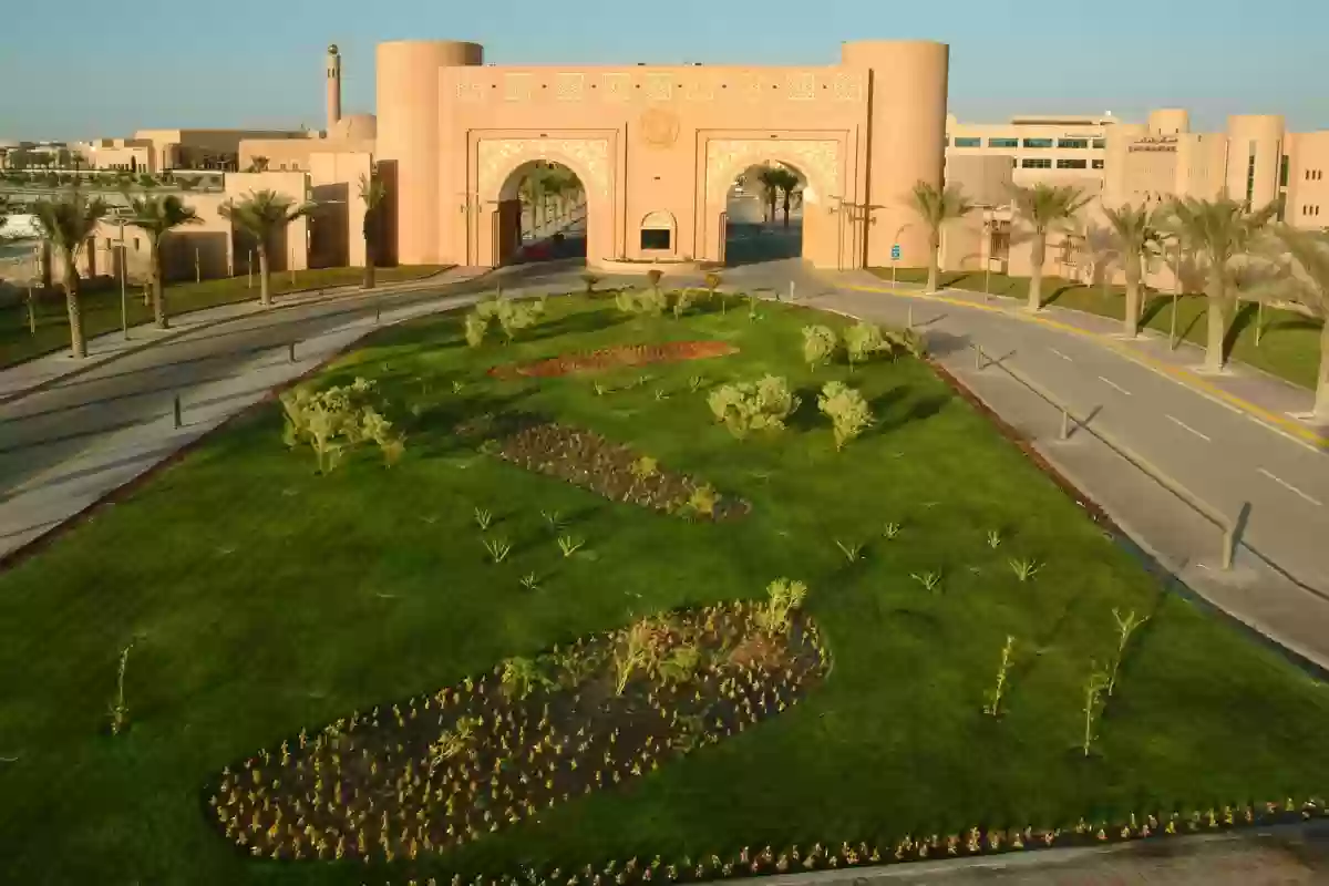 التحويل الخارجي لجامعة فيصل