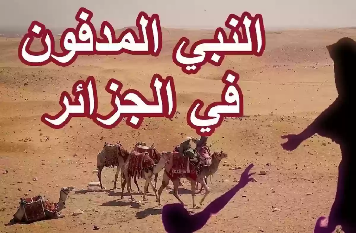 من هو النبي المدفون في الجزائر؟