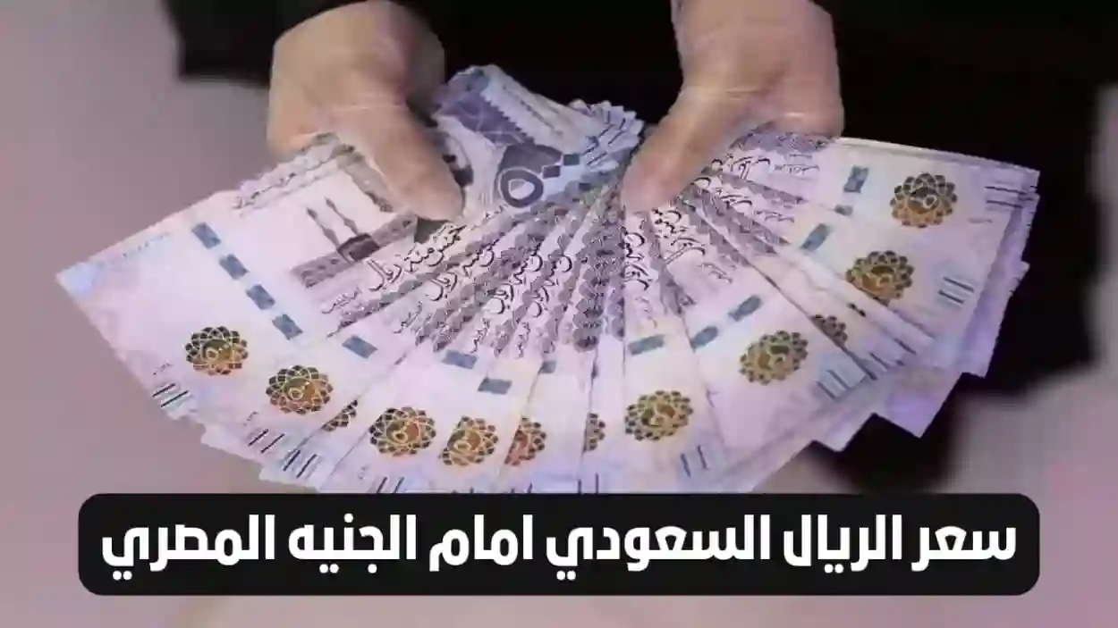 مفاجأة في سعر الريال السعودي أمام الجنيه المصري في جميع البنوك اليوم 16 فبراير