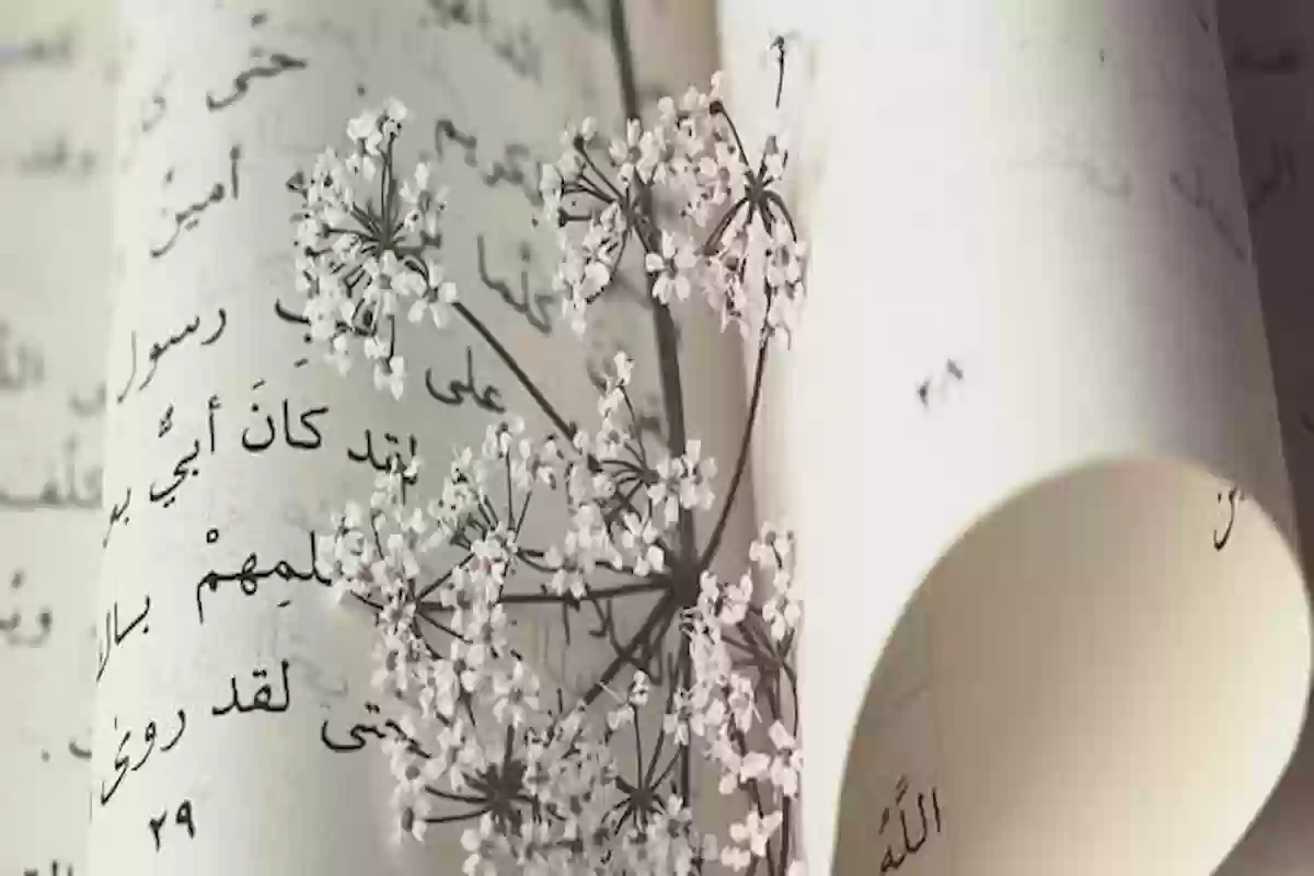 أجمل شعر الهجاء في العصر الجاهلي